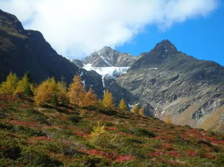 Отель Troschana