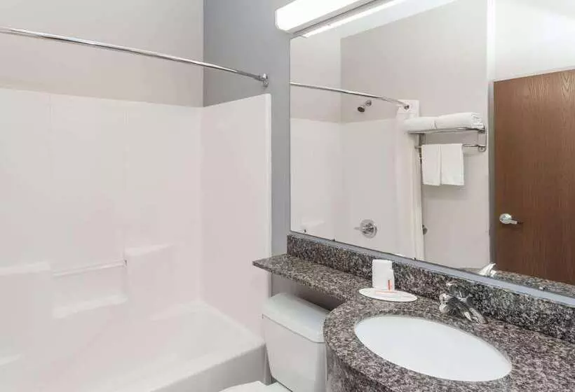 Microtel Inn And Suites Elkhart