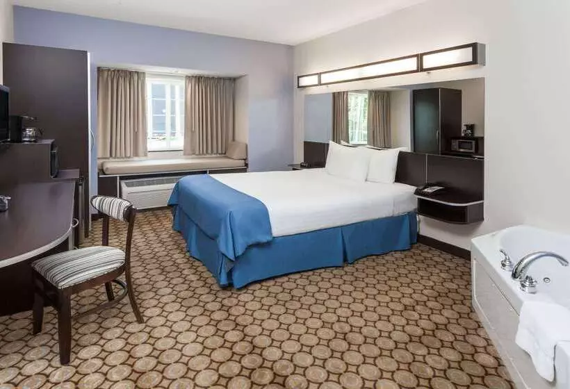 Microtel Inn And Suites Elkhart