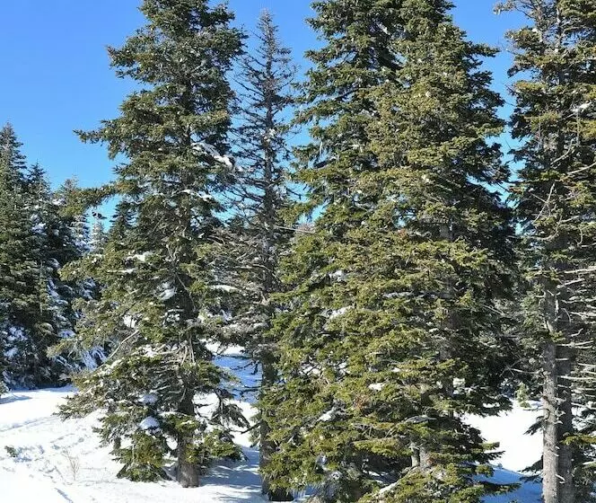 Ladonia Hotels Fahri Uludağ