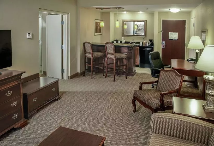 Hotel Hampton Inn & Suites Youngstown Canfield