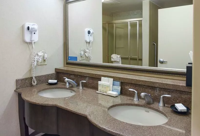 Hotel Hampton Inn & Suites Youngstown Canfield