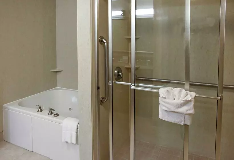 Hotel Hampton Inn & Suites Youngstown Canfield