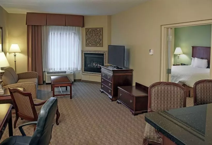Hotel Hampton Inn & Suites Youngstown Canfield