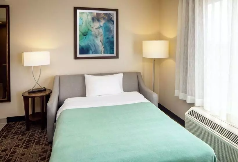 酒店 Homewood Suites By Hilton Wallingford Meriden