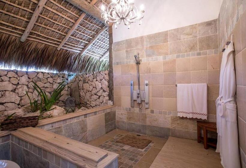 هتل Eden Roc Cap Cana