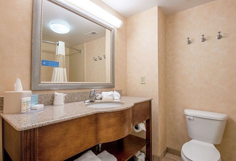 Отель Hampton Inn Pine Grove