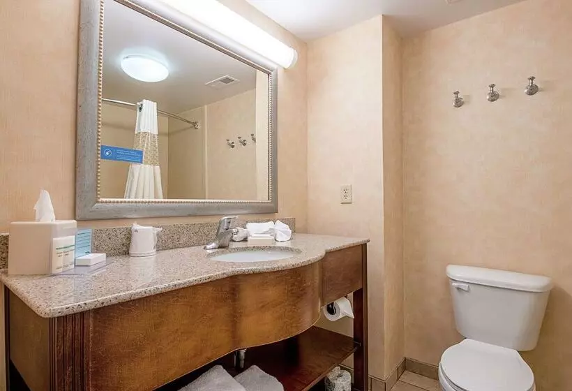 ホテル Hampton Inn Pine Grove