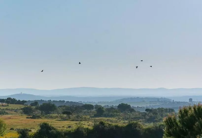 田舎風ホテル Horta Da Coutada
