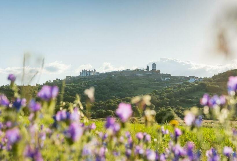 فندق ريفى Horta Da Coutada