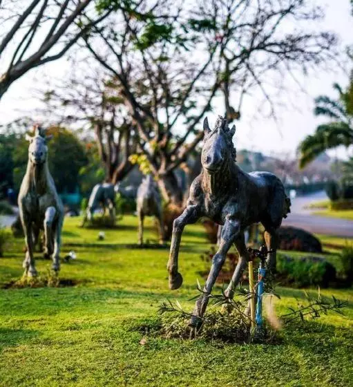 هتل The Bonanza Resort Khaoyai