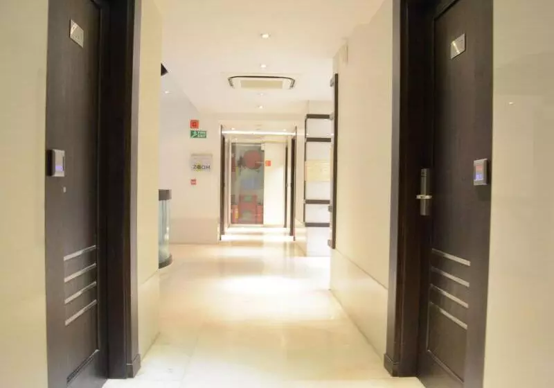 Hotel Godwin Deluxe  Near New Delhi Railway Station   Paharganj