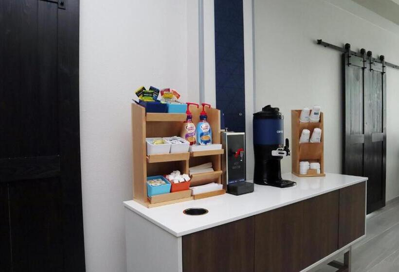 酒店 Holiday Inn Express Baton Rouge North, An Ihg