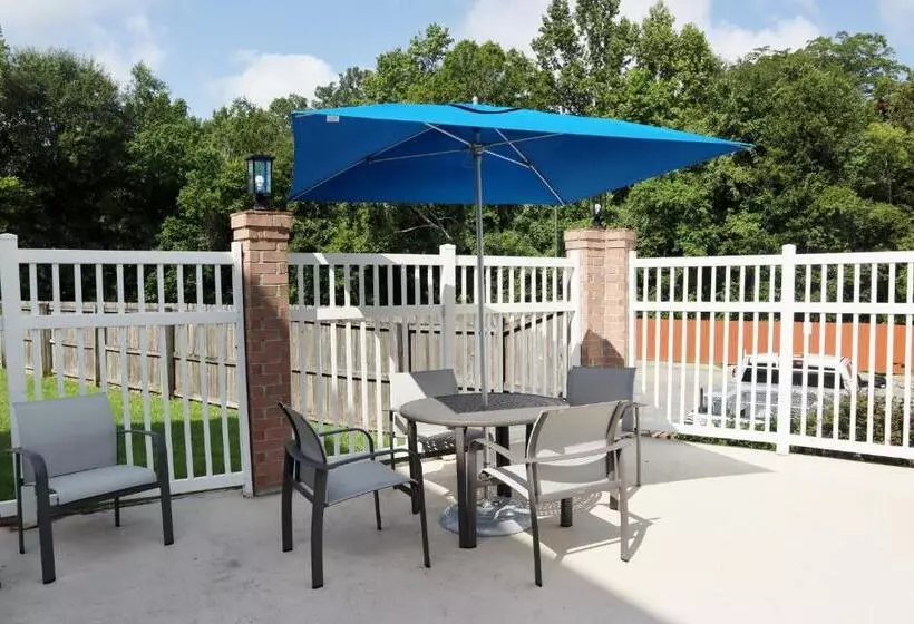 酒店 Holiday Inn Express Baton Rouge North, An Ihg