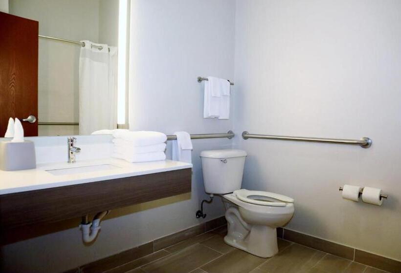 酒店 Holiday Inn Express Baton Rouge North, An Ihg