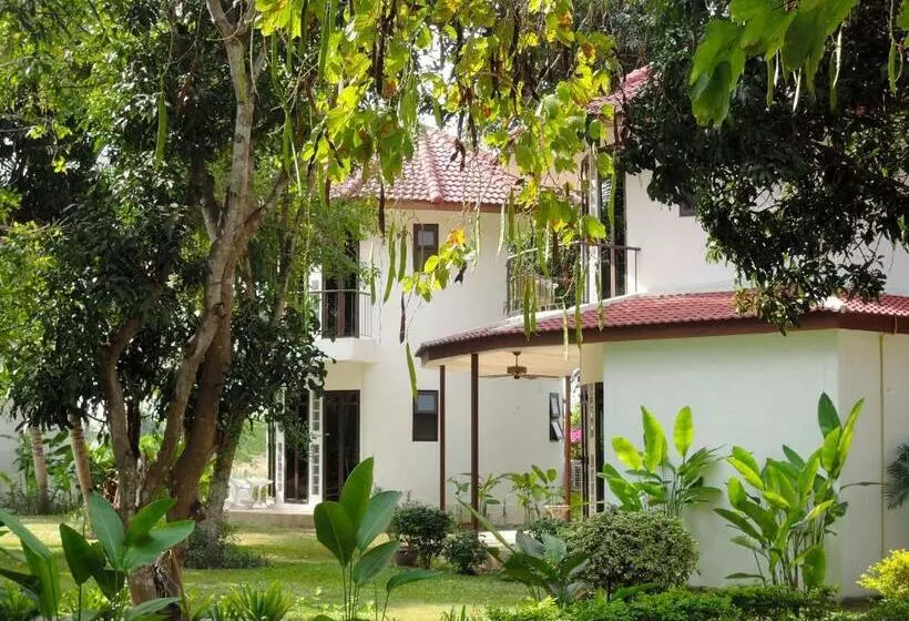 Szálloda Mango Spa & Resort