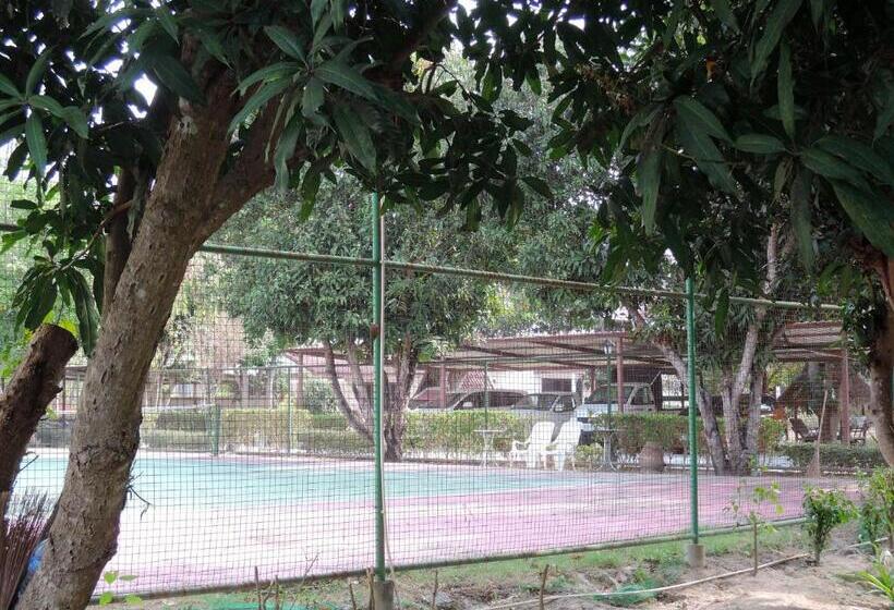 Hotel Mango Spa & Resort