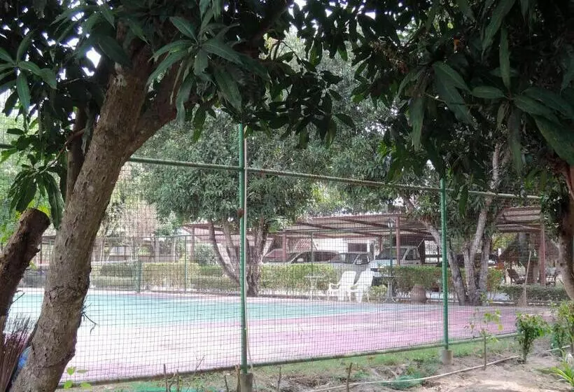 Szálloda Mango Spa & Resort