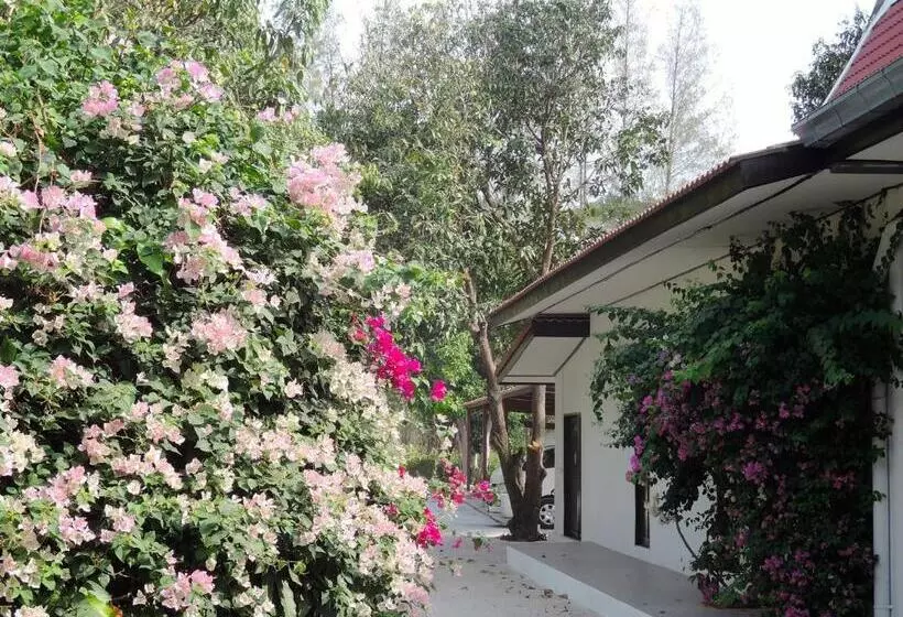 Szálloda Mango Spa & Resort