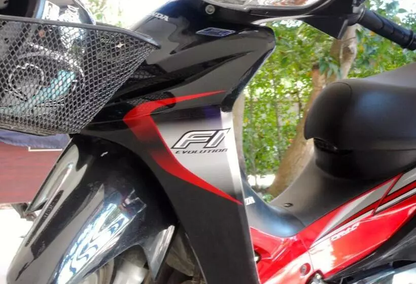 Szálloda Mango Spa & Resort