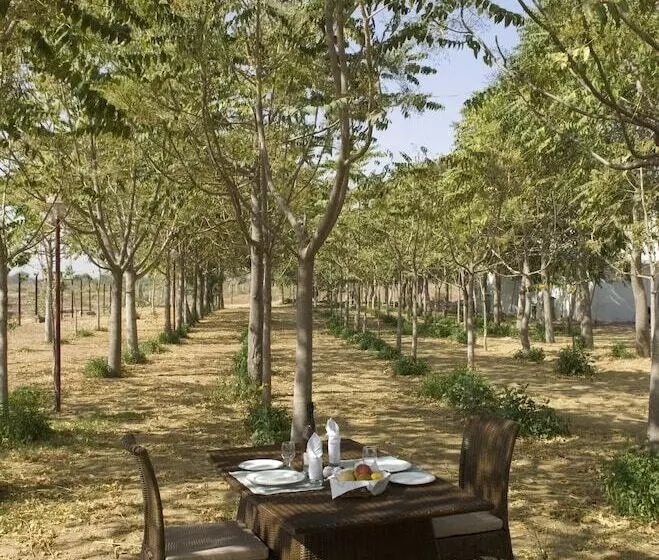 The Greenhouse Resort