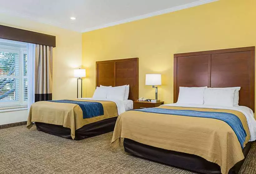 Отель Comfort Inn Monterey Peninsula Airport