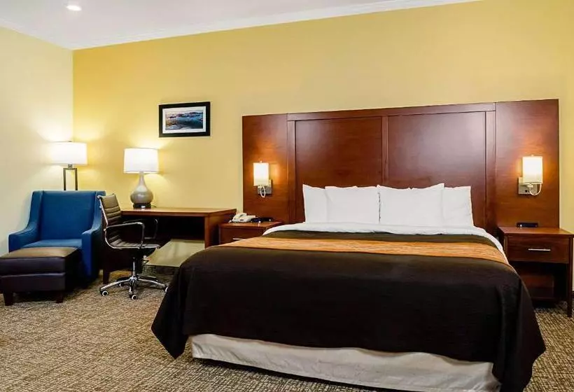 Отель Comfort Inn Monterey Peninsula Airport