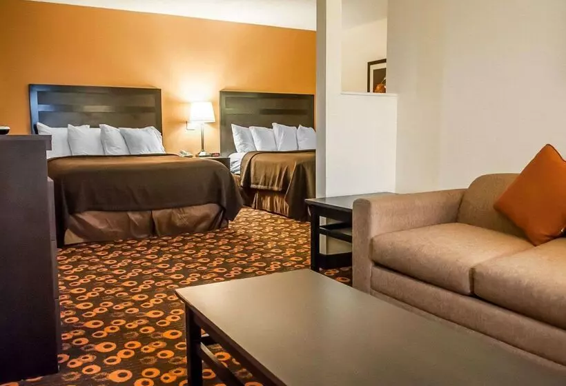 Otel Econo Lodge Inn & Suites
