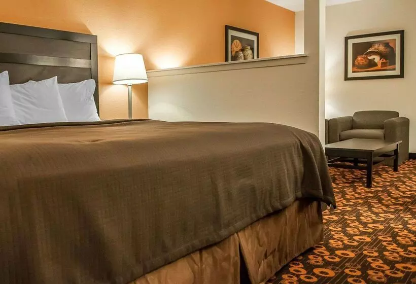 Otel Econo Lodge Inn & Suites
