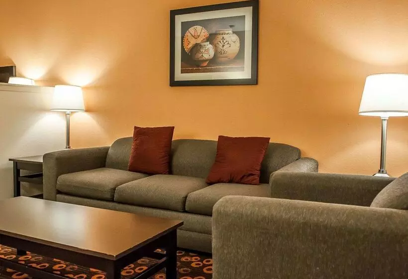 Otel Econo Lodge Inn & Suites