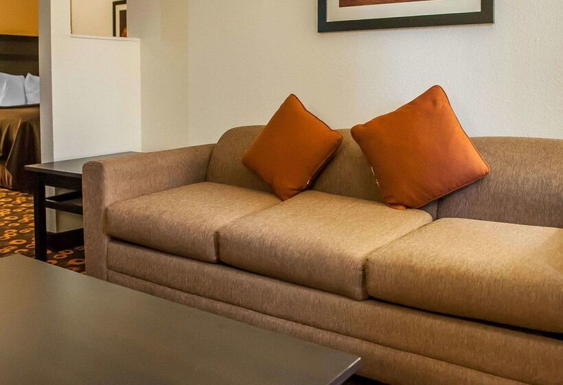 فندق Econo Lodge Inn & Suites