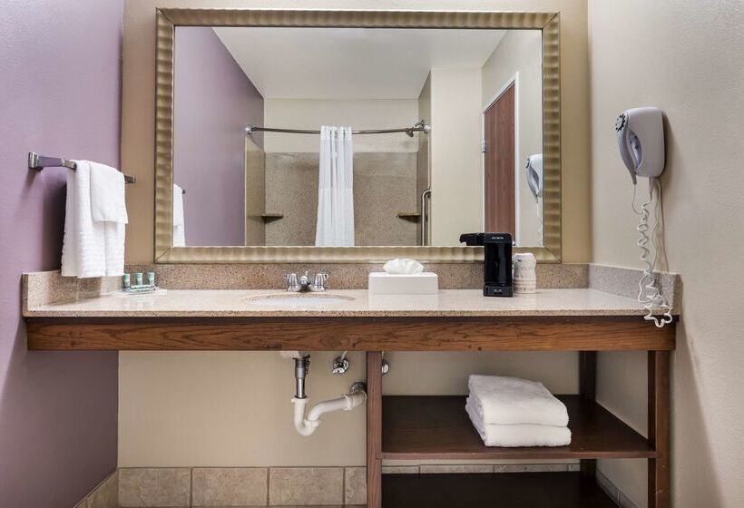 酒店 Best Western Morgan City Inn