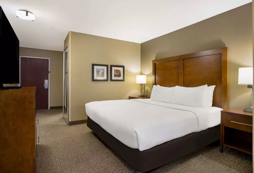 酒店 Best Western Morgan City Inn