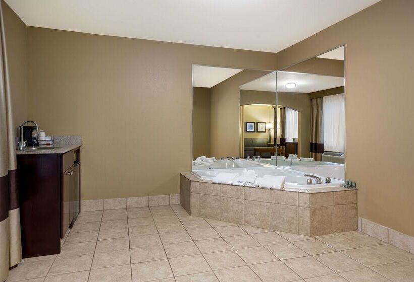 酒店 Best Western Morgan City Inn