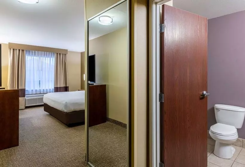 酒店 Best Western Morgan City Inn