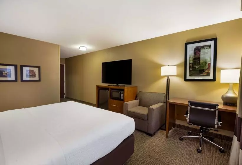 酒店 Best Western Morgan City Inn