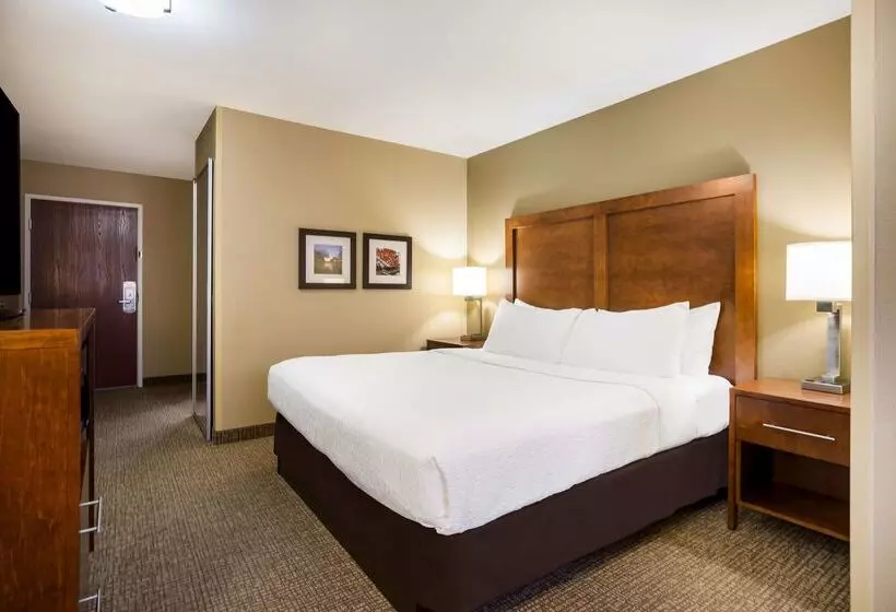 酒店 Best Western Morgan City Inn