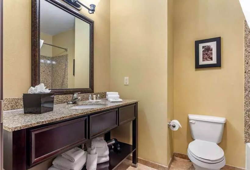 Отель Comfort Suites Frisco