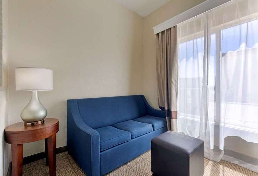 Отель Comfort Suites Gainesville