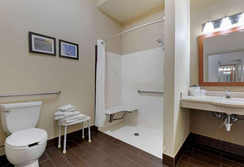 Отель Comfort Suites Gainesville