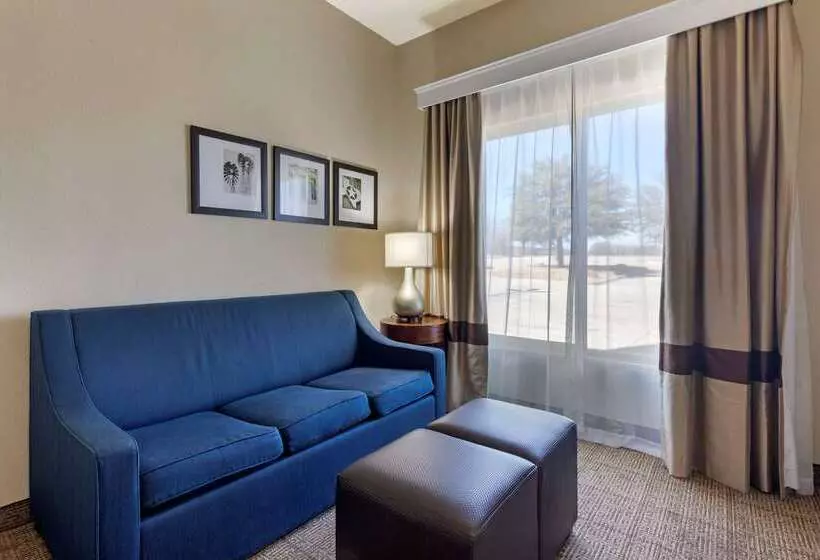 酒店 Comfort Suites Gainesville