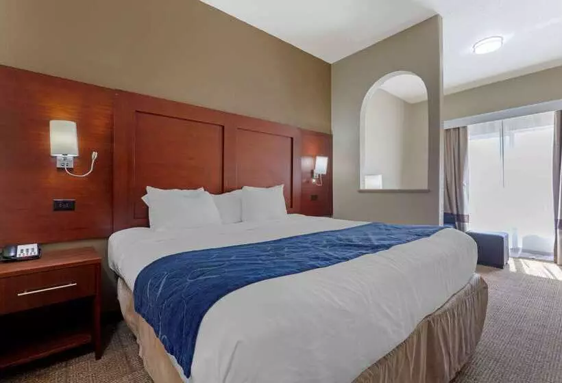 酒店 Comfort Suites Gainesville