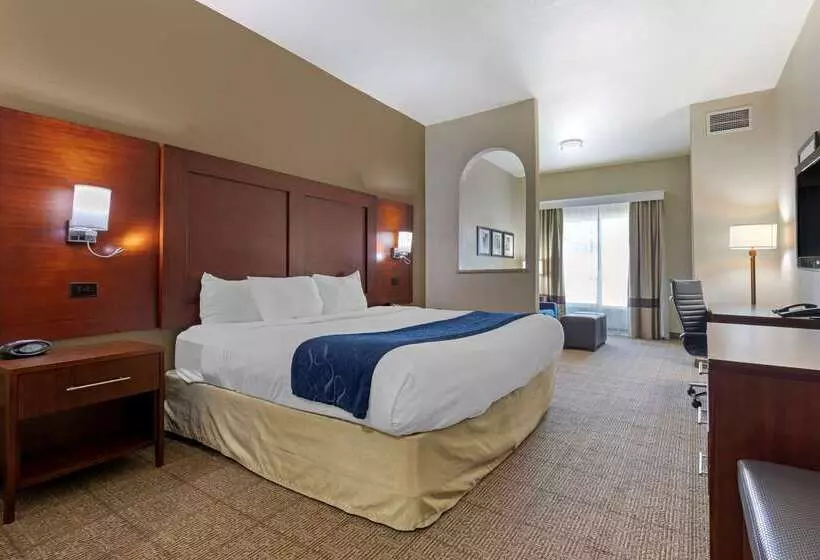 酒店 Comfort Suites Gainesville