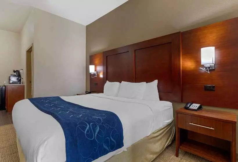 酒店 Comfort Suites Gainesville