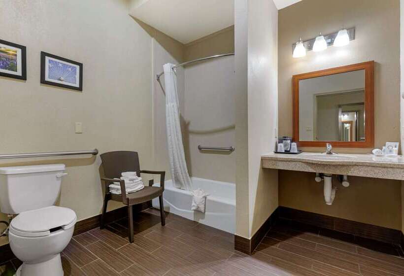 Отель Comfort Suites Gainesville