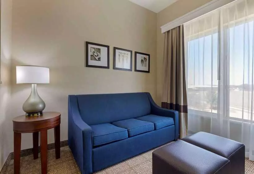 酒店 Comfort Suites Gainesville