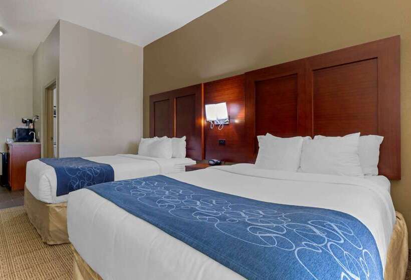 Отель Comfort Suites Gainesville