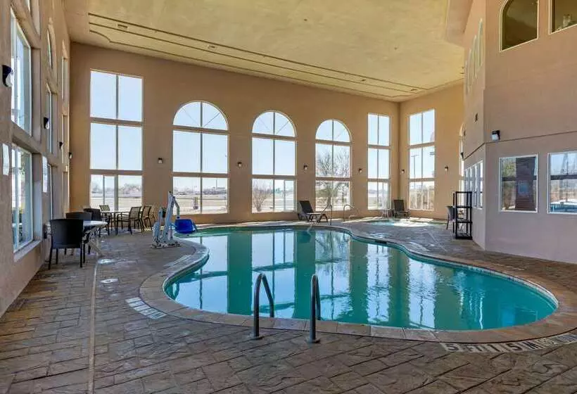 酒店 Comfort Suites Gainesville