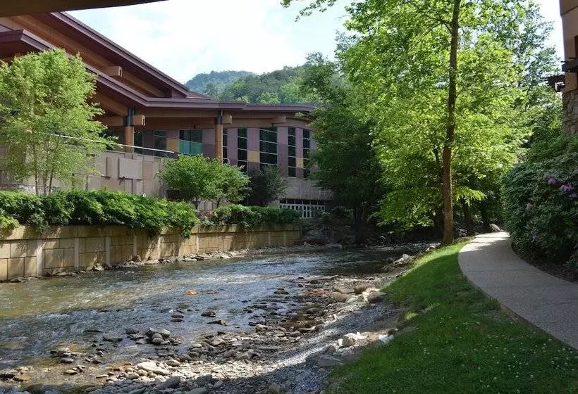 酒店 Harrah S Cherokee Casino Resort