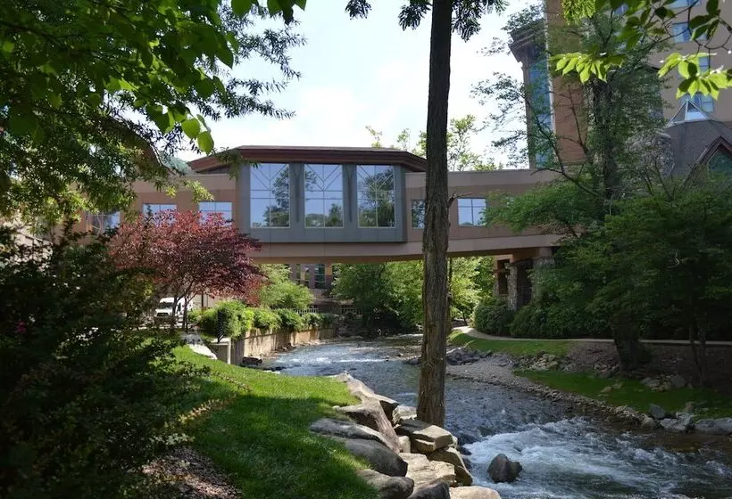 酒店 Harrah S Cherokee Casino Resort